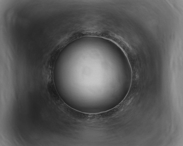X0000102371350200808011505