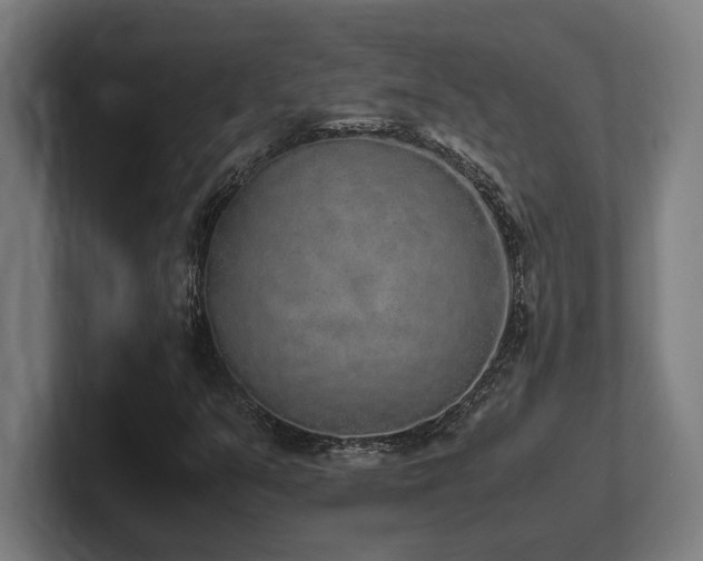 X0000102371351200808011505