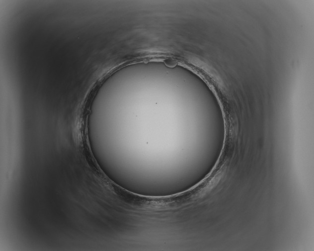 X0000102371357200808011505