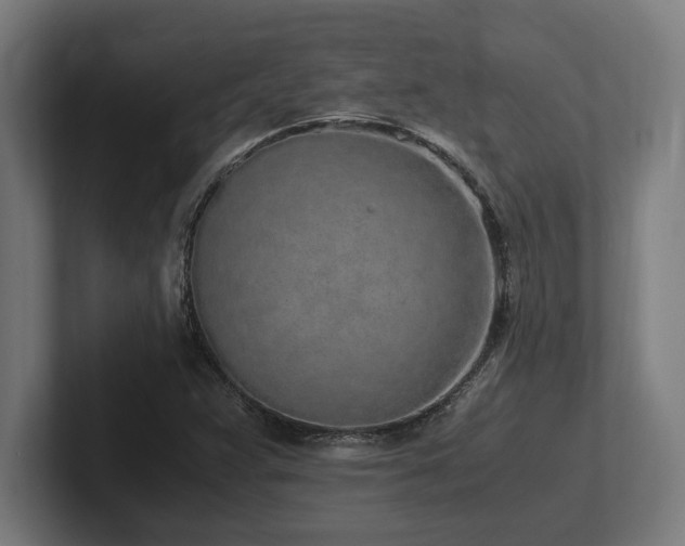 X0000102371359200808011505