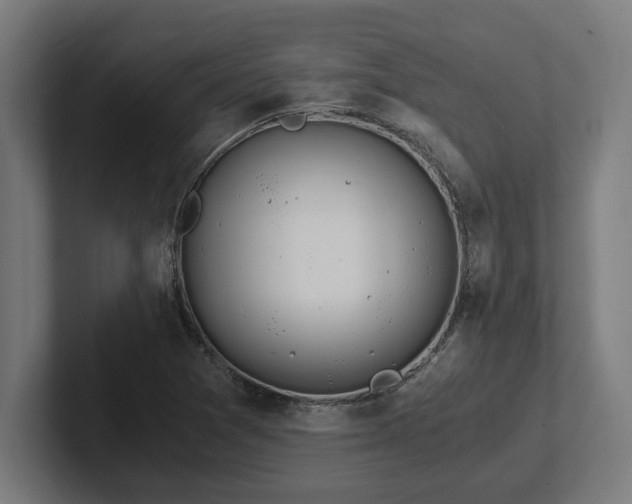 X0000102371361200808011505