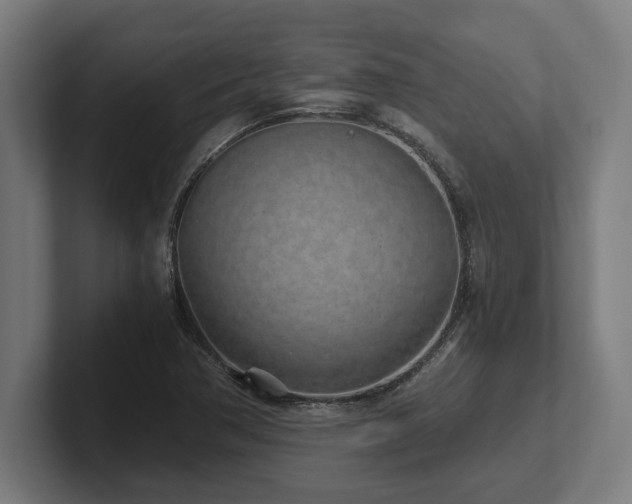 X0000102371362200808011504