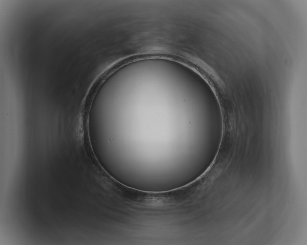 X0000102371364200808011504