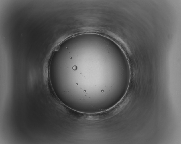 X0000102371365200808011504