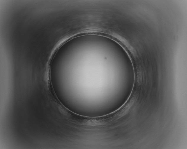 X0000102371366200808011504