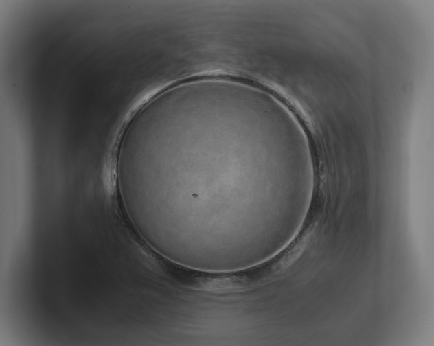 X0000102371367200808011504