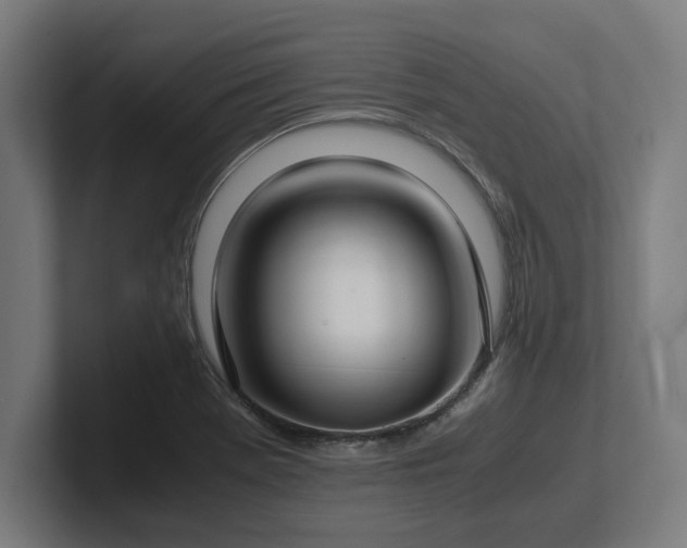 X0000102371369200808011504