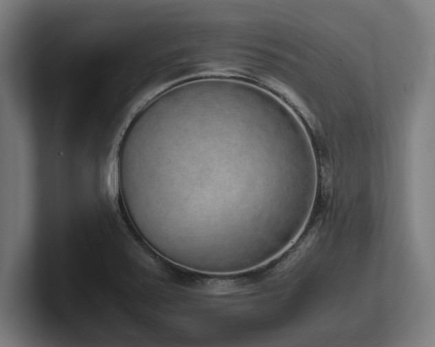 X0000102371371200808011504