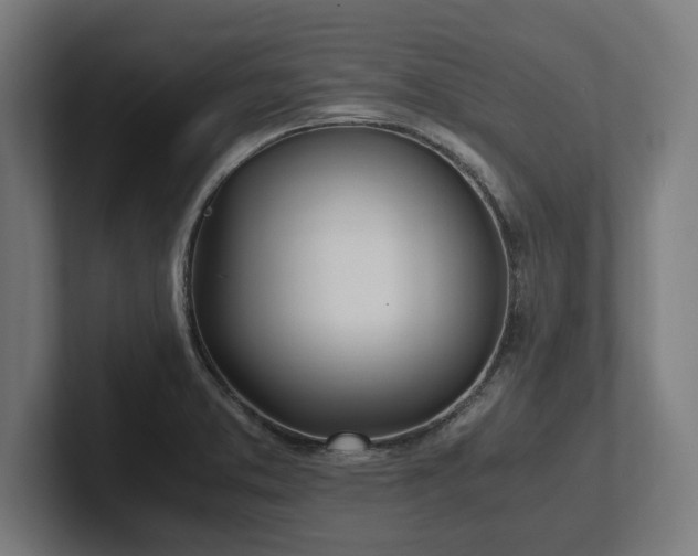 X0000102371373200808011504