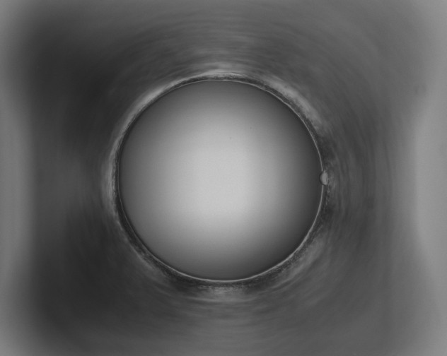 X0000102371375200808011504