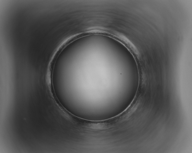 X0000102371376200808011504