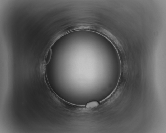 X0000102371377200808011504