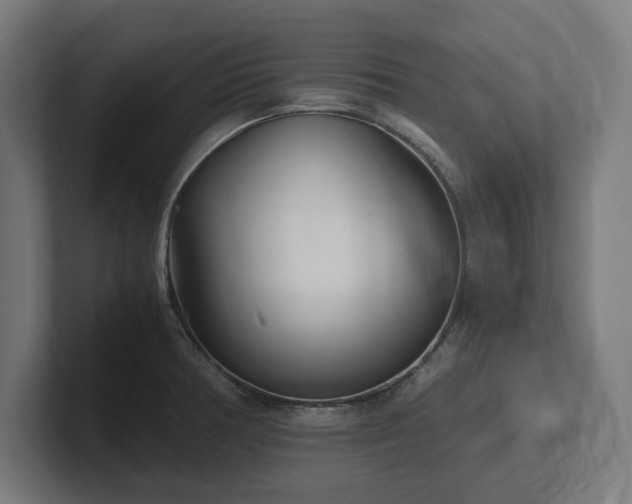 X0000102371378200808011504