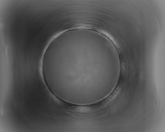 X0000102371379200808011504