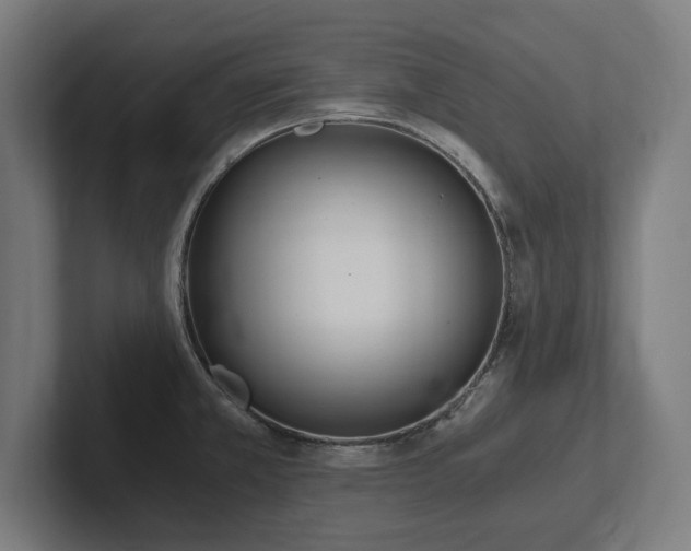 X0000102371381200808011504