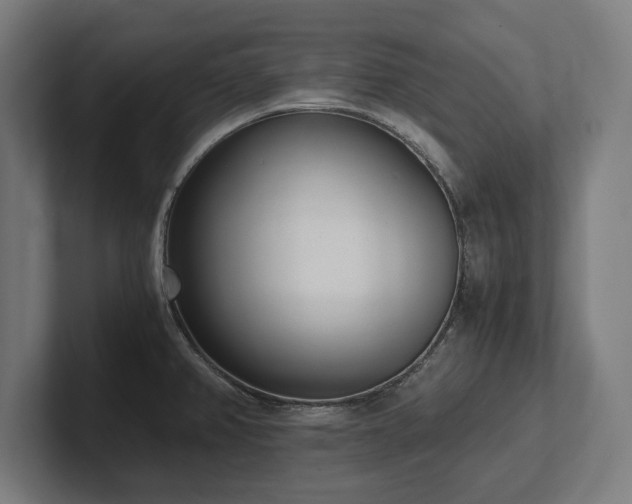 X0000102371382200808011504