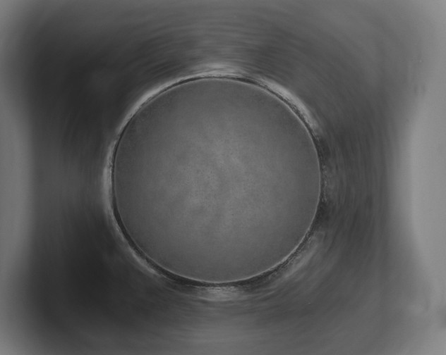X0000102371383200808011504