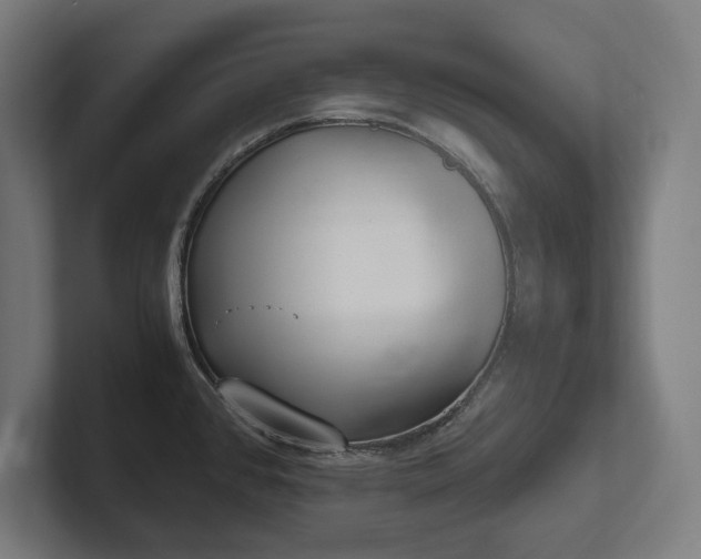 X0000102371384200808011504