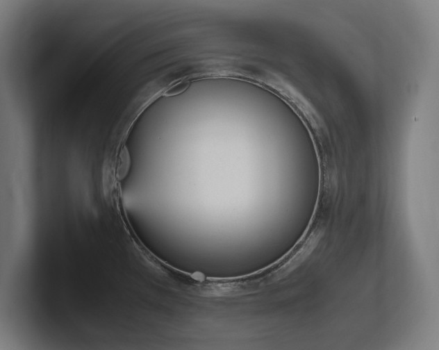 X0000102371385200808011504