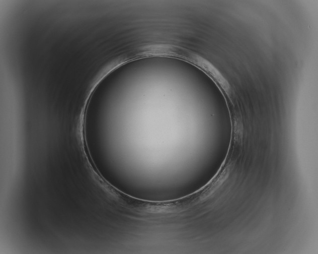 X0000102371386200808011504
