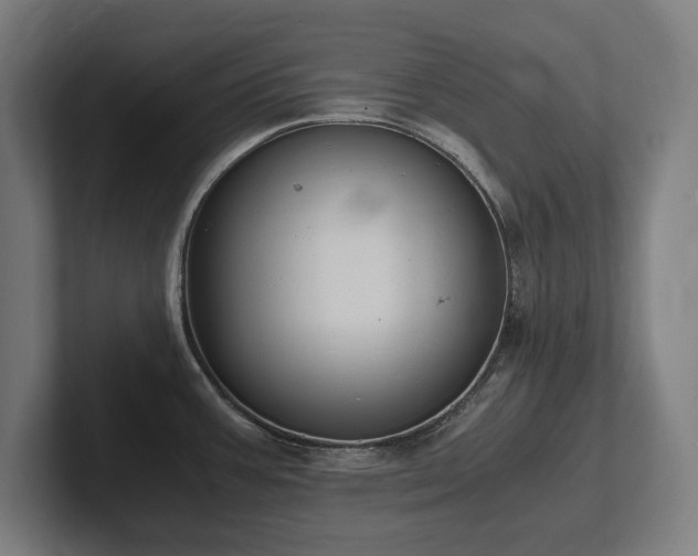 X0000102371387200808011504