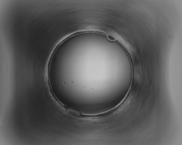X0000102371388200808011504