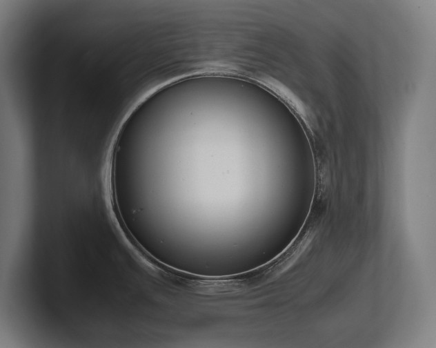 X0000102371391200808011504