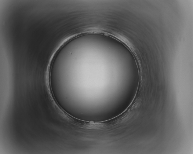 X0000102371392200808011504