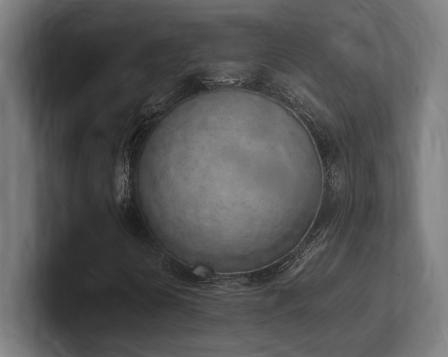 X0000102371394200808011503