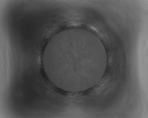 X0000102371397200808011503