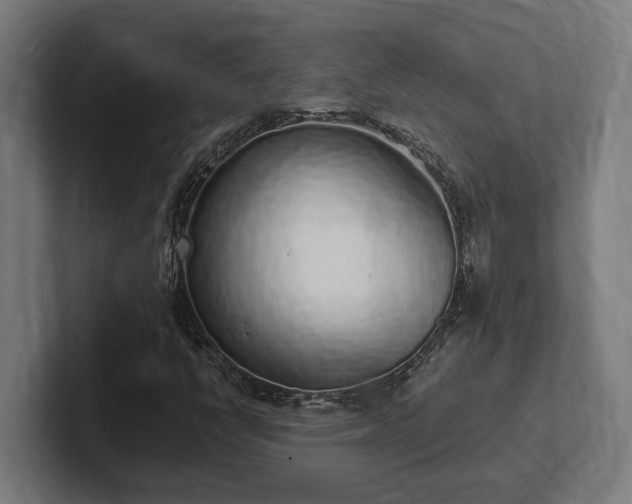 X0000102371398200808011503