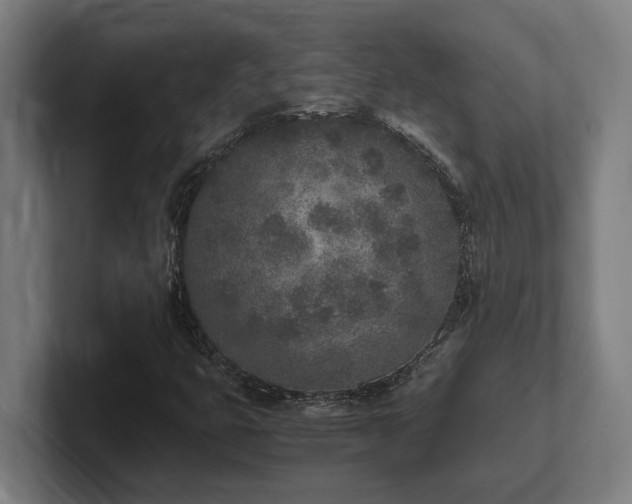 X0000102371399200808011504