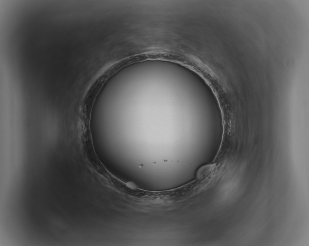 X0000102371400200808011504