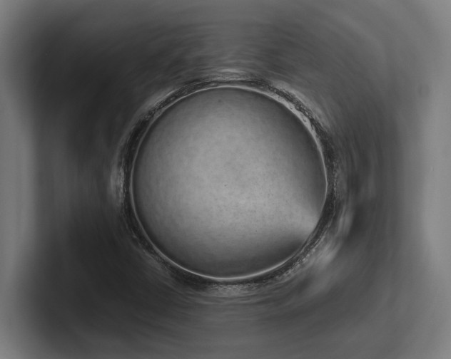X0000102371402200808011504