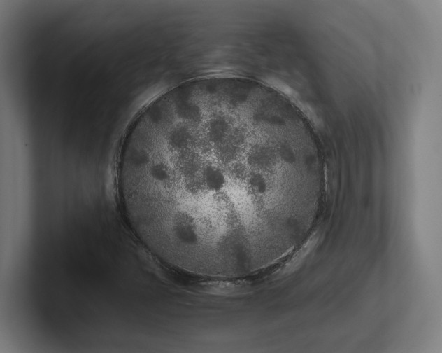X0000102371405200808011504