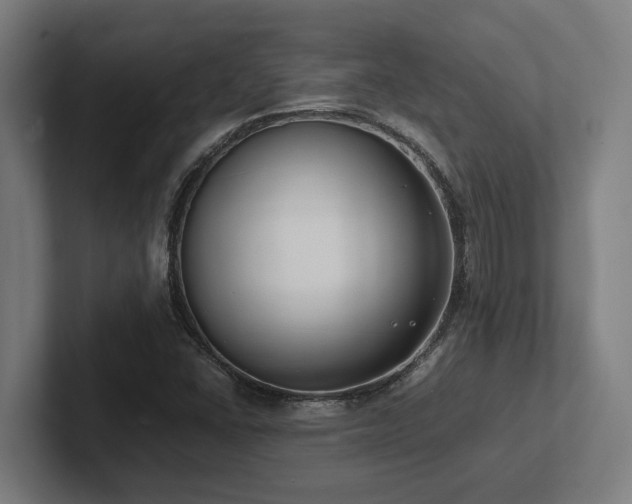 X0000102371406200808011504