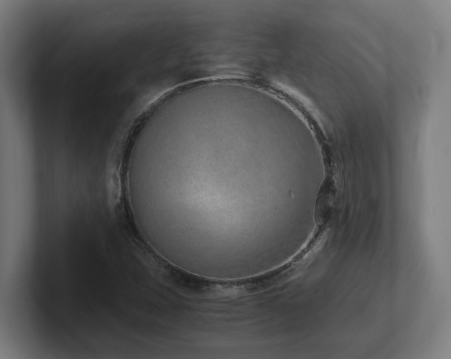 X0000102371407200808011504