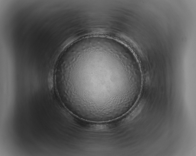 X0000102371409200808011504