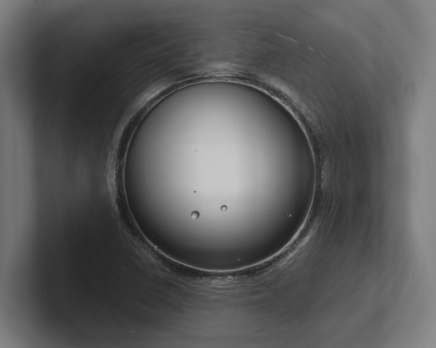 X0000102371410200808011504