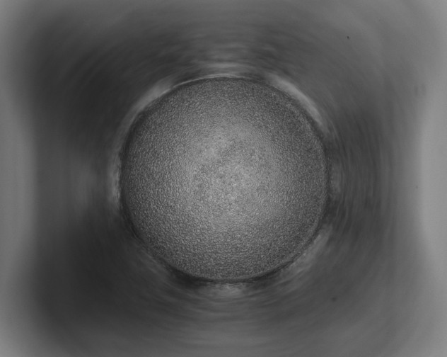 X0000102371411200808011504