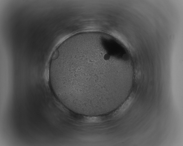 X0000102371413200808011504