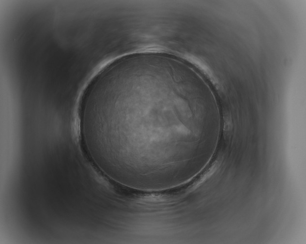 X0000102371414200808011504
