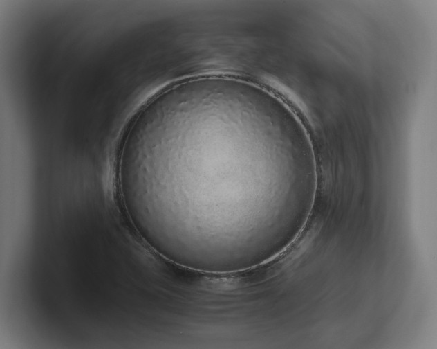 X0000102371415200808011504