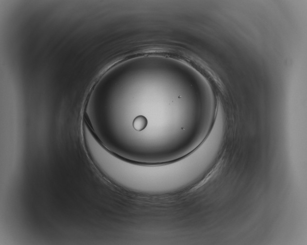 X0000102371417200808011504