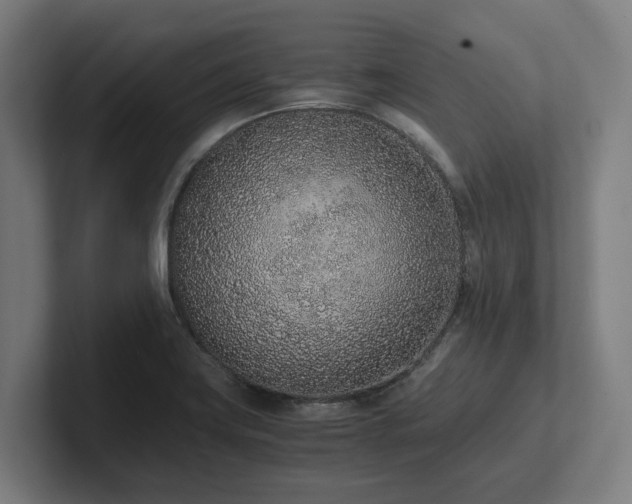 X0000102371419200808011504