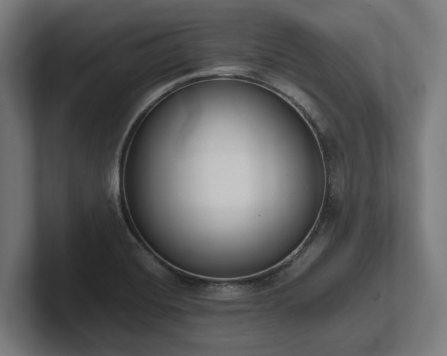 X0000102371420200808011504