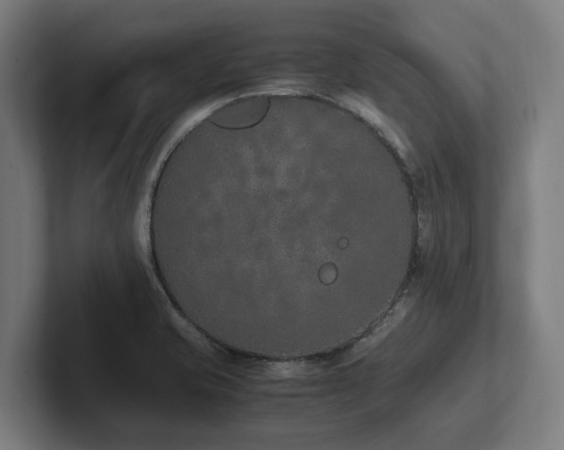 X0000102371421200808011504