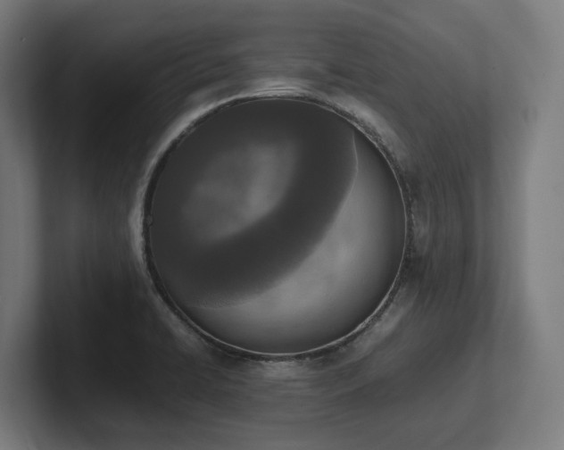 X0000102371422200808011504