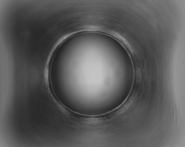 X0000102371424200808011504