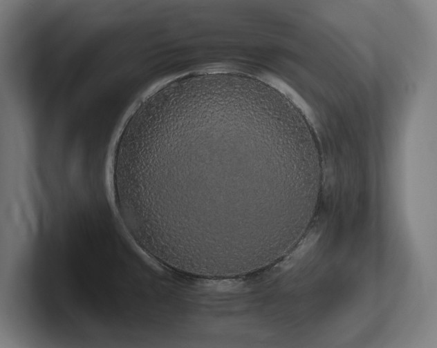 X0000102371429200808011504